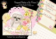 Pampered Pooches in the Frame 2 - 6x6 Complete Card & Envelope Kit