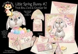 Little Spring Bunny #2 Treat Box, Card & Envelope Kit