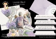 Lavender Bliss 8 XL Shaped Card Kit