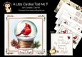 A Little Cardinal Told Me 9