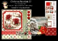 Christmas Botanicals 11 6x6