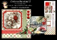 Christmas Botanicals 12 6x6