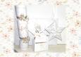 Noel Angelica Envelope and Gift Accessories