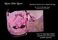 Roses Pink Roses Envelope and Gift Bag Kit