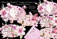 Magnolia Songbird - Hanging Oval Plaques Trio