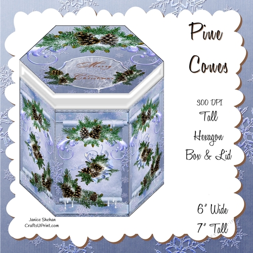 HEXAGON GIFT BOX - PINE CONES