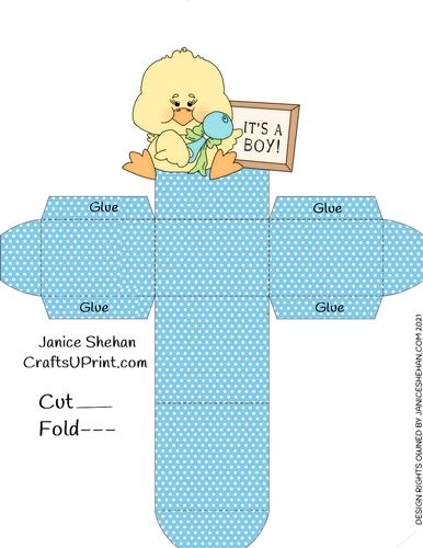 BABY BOY DUCK FAVOR GIFT BOX