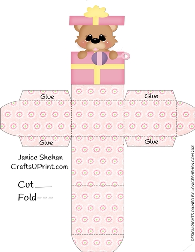 BABY GIRL BEAR FAVOR GIFT BOX