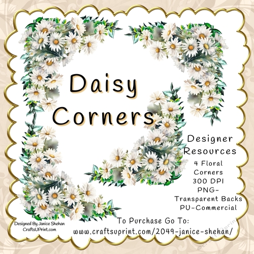 DAISY DESIGNER RESOURCE FLORAL CORNER PNG CLIPART