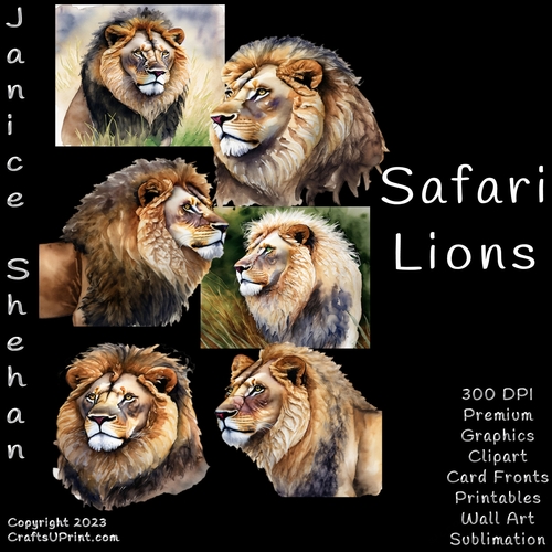 LIONS, AFRICAN, SAFARI, BUNDLE, CARD FRONTS, CLIPART, SUBLIMATION, AFRICAN ELEPHANT, PNG