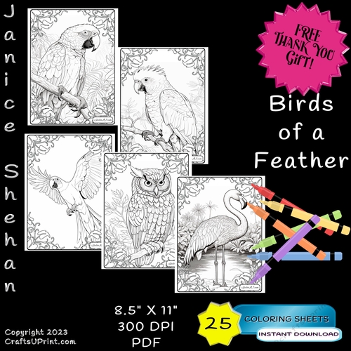 25  BIRDS OF A FEATHER, ADULT COLORING PAGES, COLORING SHEETS, PEACOCK, PARROT, MACAW