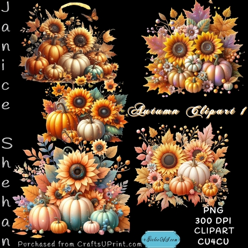 BEAUTIFUL AUTUMN PUMPKINS AND SUNFLOWERS SCENES