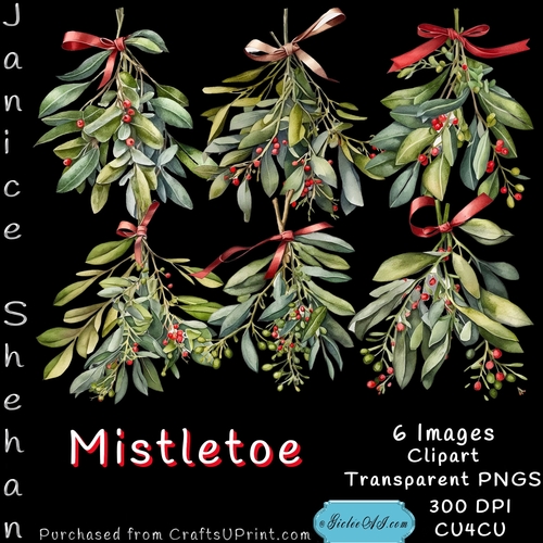 MISTLETOE, RIBBONS, CHRISTMAS, CLIPART, SUBLIMATION, CARDS, 