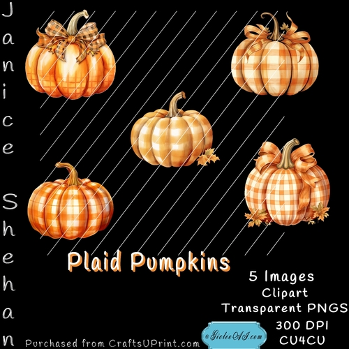  PLAID PUMPKINS HALLOWEEN, AUTUMN, PUMPKINS, CLIPART, SUBLIMATION, CARDS