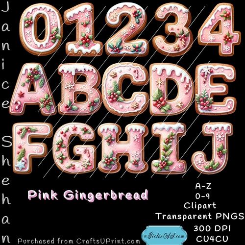 PINK GINGERBREAD ALPHABET, NUMBERS, PNG, CLIPART  MULTI COLOR