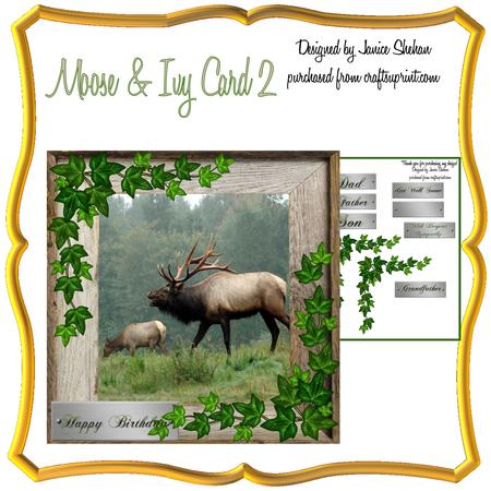 Moose & Ivy 2 Decoupage Birthday Card