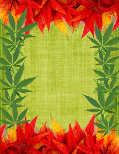 CANNABIS WEED MARY JANE MARIJUANNA LEAVES FRAME CARD BACKGROUND