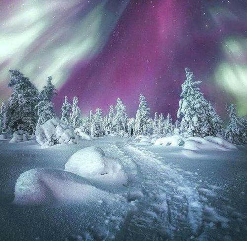 FROZEN WINTER SNOW SCENE NORTHERN LIGHTS BACKGROUND SHEET