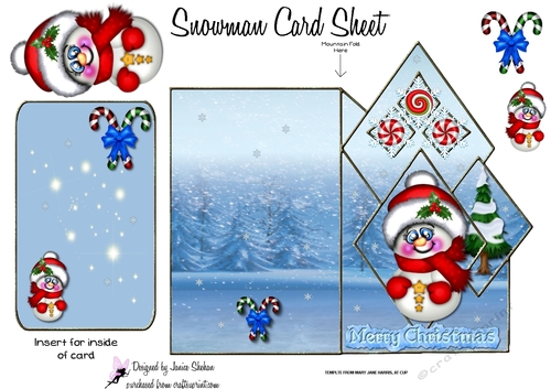OVER THE TOP EDGE CHRISTMAS SNOWMAN CARD