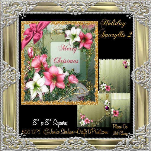 AMARYLLIS CHRISTMAS TOPPER, ENVELOPE, INSERT KIT - MERRY CHRISTMAS