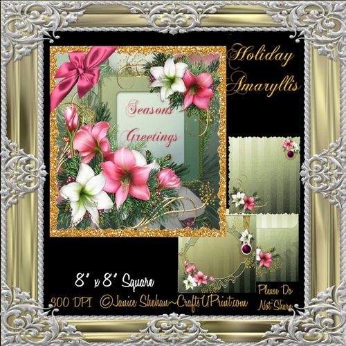 AMARYLLIS CHRISTMAS TOPPER, ENVELOPE, INSERT KIT - SEASONS GREETINGS