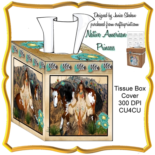AMERICAN INDIAN PRINCESS - TISSUE BOX KLEENEX PUFFS COVER