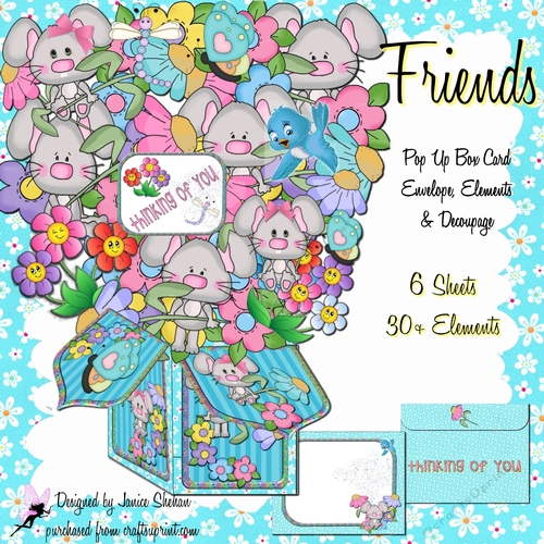 3D POP UP BOX CARD KIT - FRIENDS