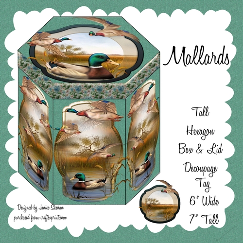 GORGEOUS TALL HEXAGONAL DECOUPAGE BOX - MALLARDS MEN