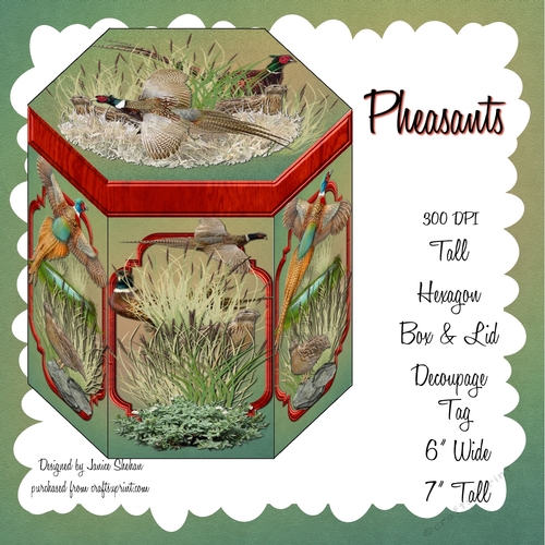 HANDSOME TALL HEXAGONAL DECOUPAGE BOX - PHEASANTS MEN MALE