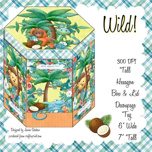 GORGEOUS TALL HEXAGONAL DECOUPAGE BOX - WILD!