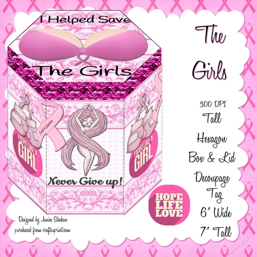 GORGEOUS TALL HEXAGONAL DECOUPAGE BOX - THE GIRLS