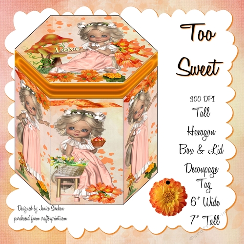 GORGEOUS TALL HEXAGONAL DECOUPAGE BOX - TOO CUTE