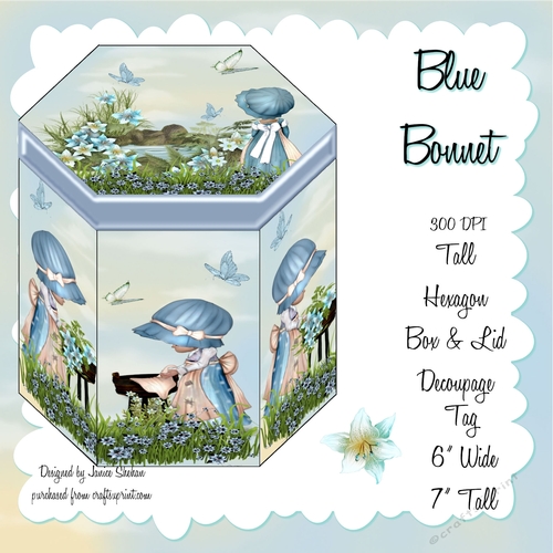 GORGEOUS TALL HEXAGONAL DECOUPAGE BOX - BLUE BONNET