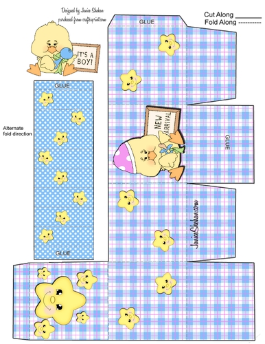 GENDER REVEAL BOX BABY BOY SHOWER