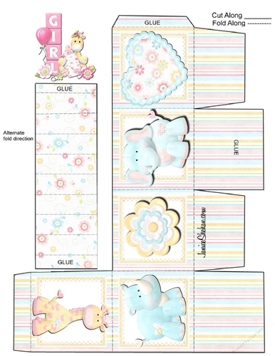 GENDER REVEAL BOX BABY GIRL SHOWER