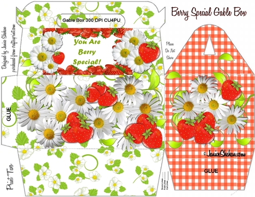 GABLE TOP GIFT BOX - STRAWBERRIES AND DASIES BERRY SWEET