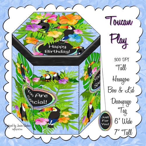 TOUCAN PLAY BIRDS MEN HEXAGONAL GIFT BOX 104