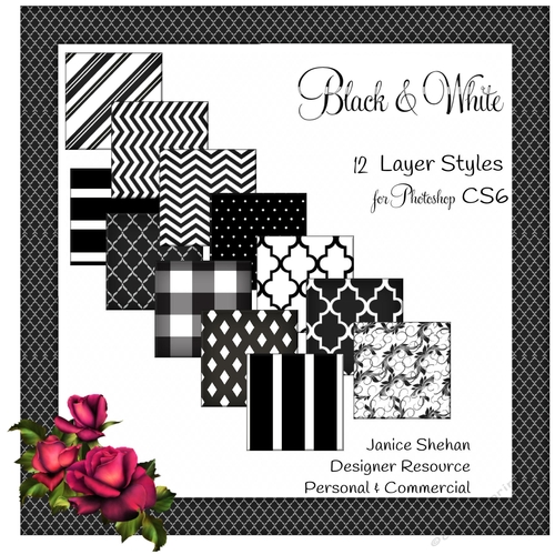 PHOTOSHOP STYLES - BLACK AND WHITE