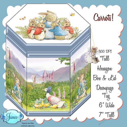 CARROTS! - HEXAGONAL GIFT BOX - HB 116