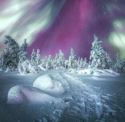 FROZEN WINTER SNOW SCENE NORTHERN LIGHTS BACKGROUND SHEET