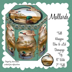 GORGEOUS TALL HEXAGONAL DECOUPAGE BOX - MALLARDS MEN