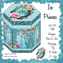 GORGEOUS TALL HEXAGONAL DECOUPAGE BOX - ICE PRINCESS