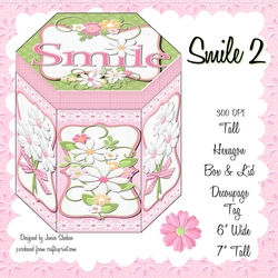 GORGEOUS TALL HEXAGONAL GIFT DECOUPAGE BOX - SMILE 2