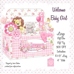 LARGE GIFT BOX - WELCOME BABY GIRL