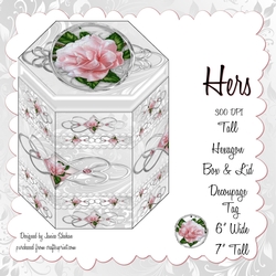 TALL HEXAGONAL DECOUPAGE BOX - HERS