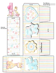 GENDER REVEAL BOX BABY GIRL SHOWER