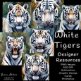 WHITE TIGER, TIGERS, SIBERIAN TIGERS, PNG, CLIPART