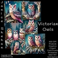 OWL, OWLS, BUNDLE, CARD FRONTS, CLIPART, SUBLIMATION, AFRICAN ELEPHANT, PNG