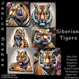 TIGER, TIGERS, SIBERIAN, BUNDLE, CARD FRONTS, CLIPART, SUBLIMATION, AFRICAN ELEPHANT, PNG