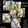 WHITE LIONS, WHITE LION, BUNDLE, CARD FRONTS, CLIPART, SUBLIMATION, AFRICAN ELEPHANT, PNG
